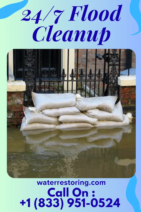24/7 Flood Cleanup in Sunflower, MS