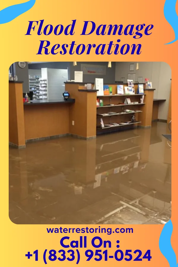 Flood Damage Restoration in Sunflower, MS