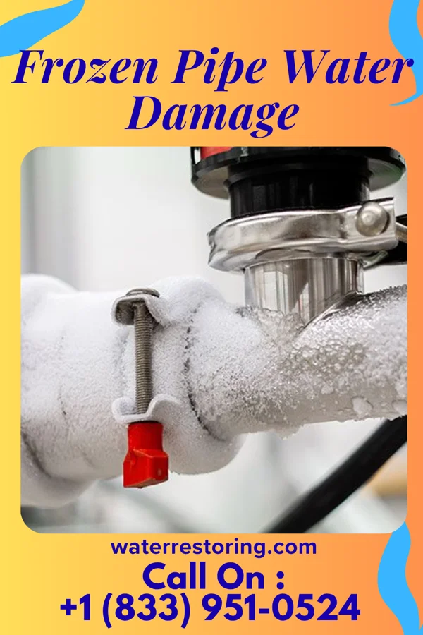 Frozen Pipe Water Damage in Sunflower, MS