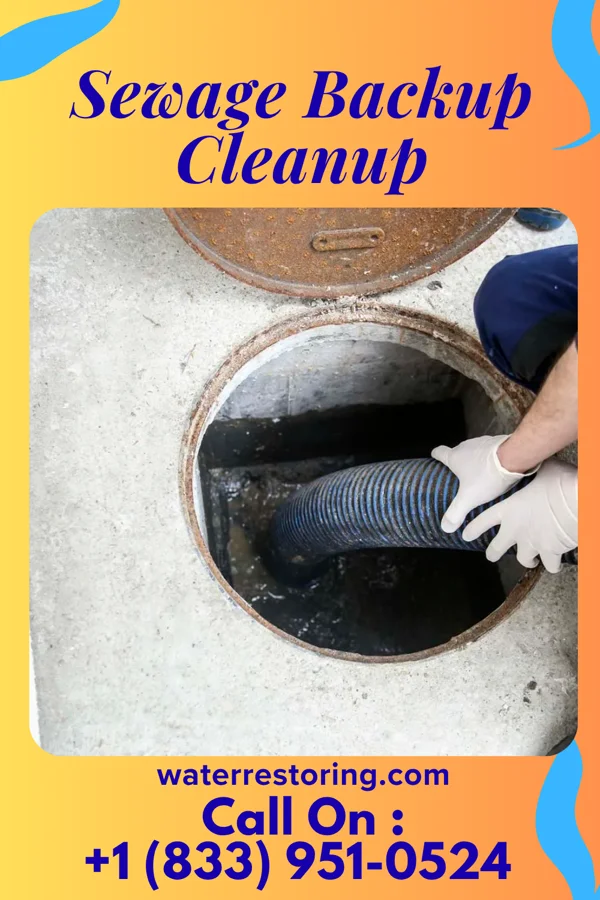 Sewage Backup Cleanup in Sunflower, MS